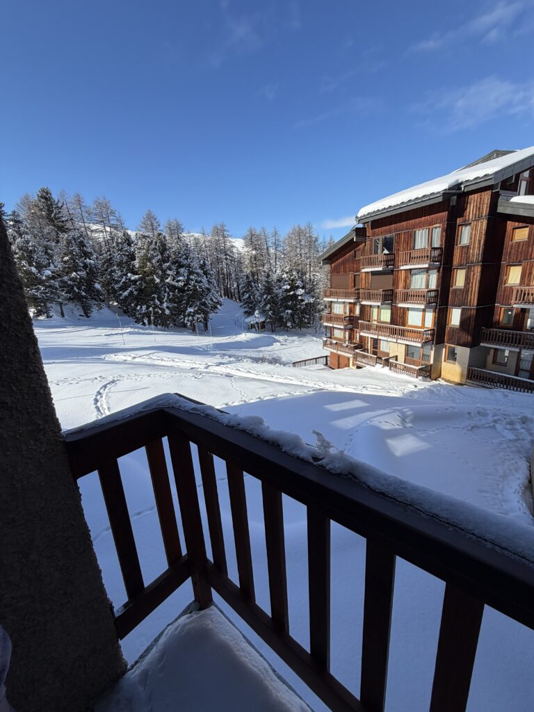 img 3452 (1) img 3452 (1)