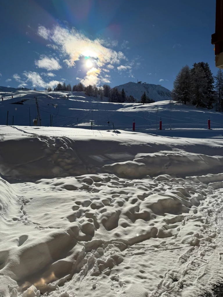 Pistes enneigées de Plagne Villages sous le soleil, sapins et sommets en arrière-plan